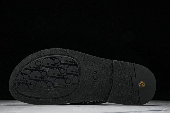 D1R* SLIDE copshoe  DR-SLIDE 020