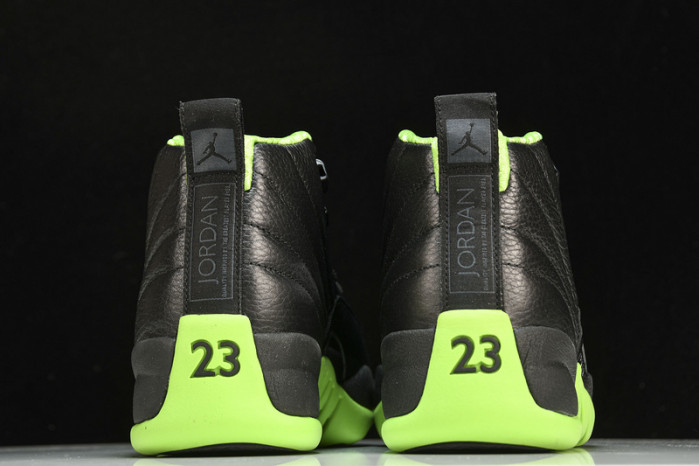 Air Jordan 12  BLACK/GREEN  DR8887-101