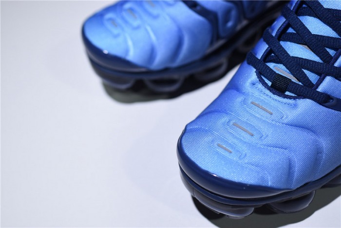 Air VaporMax Plus Obsidian - 924453-401